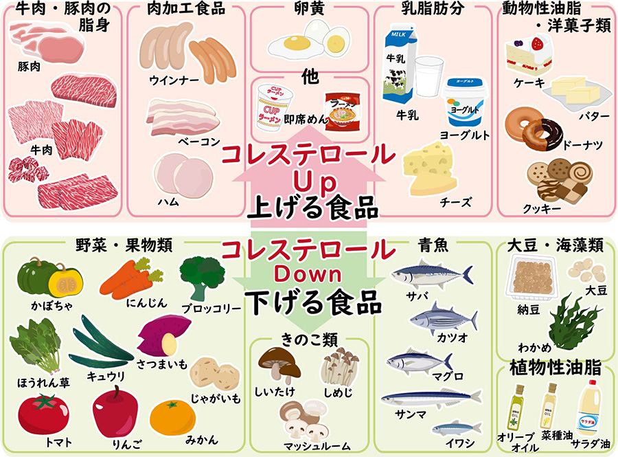 脂質異常症の仕組みの図